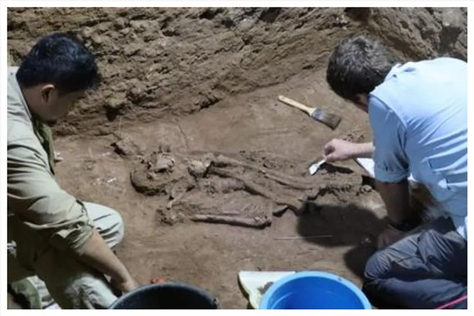 ৩১,০০০ বছর বয়সী মানব কঙ্কাল আবিষ্কার ইন্দোনেশিয়ায়