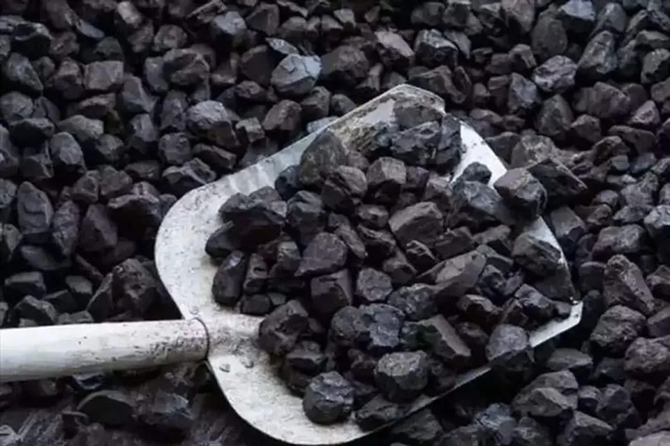 কয়লা কেলেঙ্কারির কিংপিং-এর নাম বলল তৃণমূল