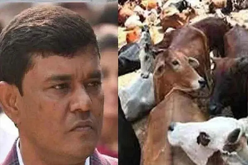 গরু পাচার মামলায় এনামুল হকের ৩ ভাগ্নের বিরুদ্ধে গ্রেফতারি পরোয়ানা জারি