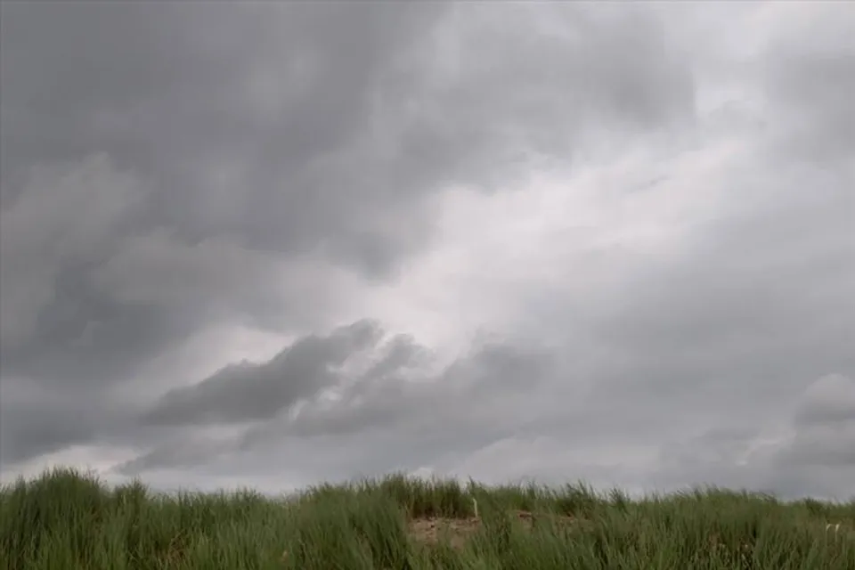 বৃষ্টিতে কী ব্যবস্থা বোসপুকুর তালবাগান পুজো কমিটির?