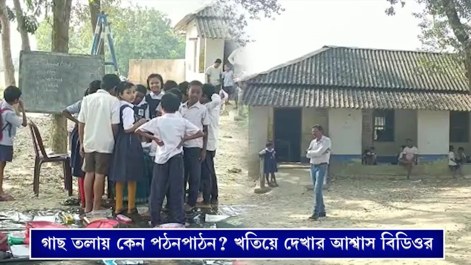 গাছ তলায় কেন পঠনপাঠন? খতিয়ে দেখার আশ্বাস বিডিওর