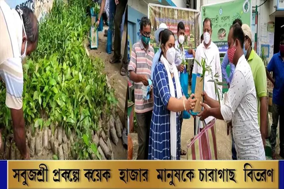 সবুজশ্রী প্রকল্পে কয়েক হাজার মানুষকে চারাগাছ বিতরণ
