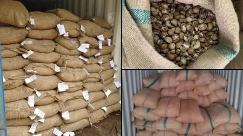 বিশাখাপত্তনমে বাজেয়াপ্ত সুপারি, গ্রেপ্তার ১