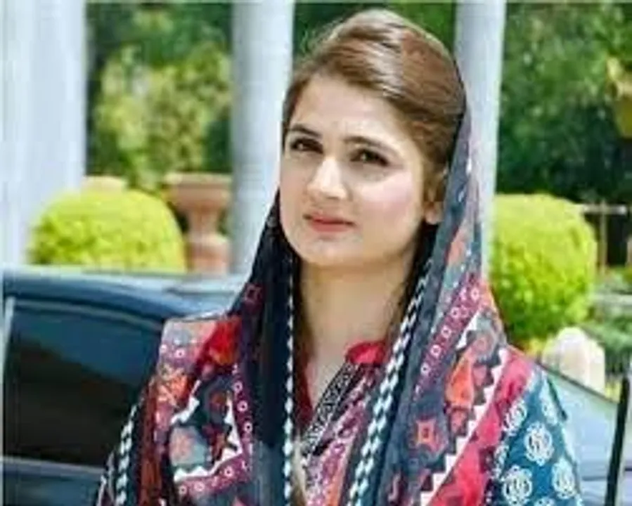 পর্ন ভিডিয়ো নিয়ে বিতর্কে পাকিস্তানের বিধায়ক