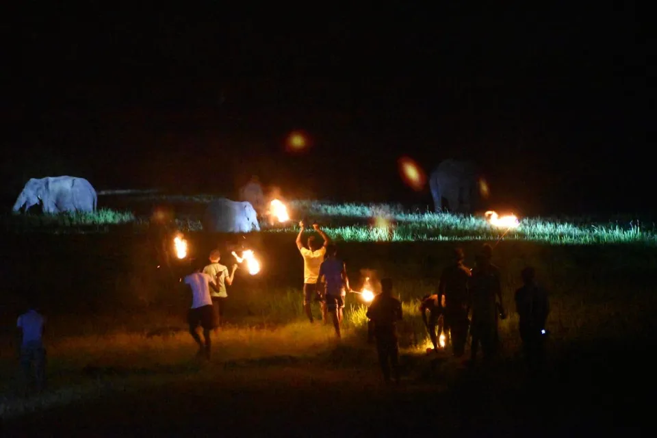 হাতি তাড়ানোকে কেন্দ্র করে দুই গ্রামের সংঘর্ষ, জখম, রাতভর পথ অবরোধ তুলতে হিমশিম পুলিশ