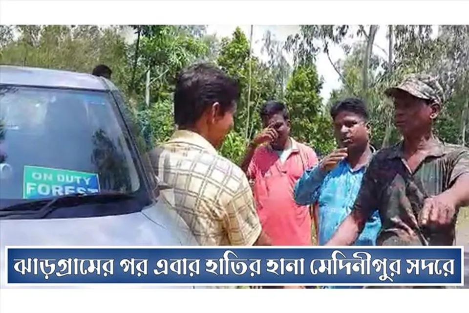 ঝাড়গ্রামের পর এবার হাতির হানা মেদিনীপুর সদরে