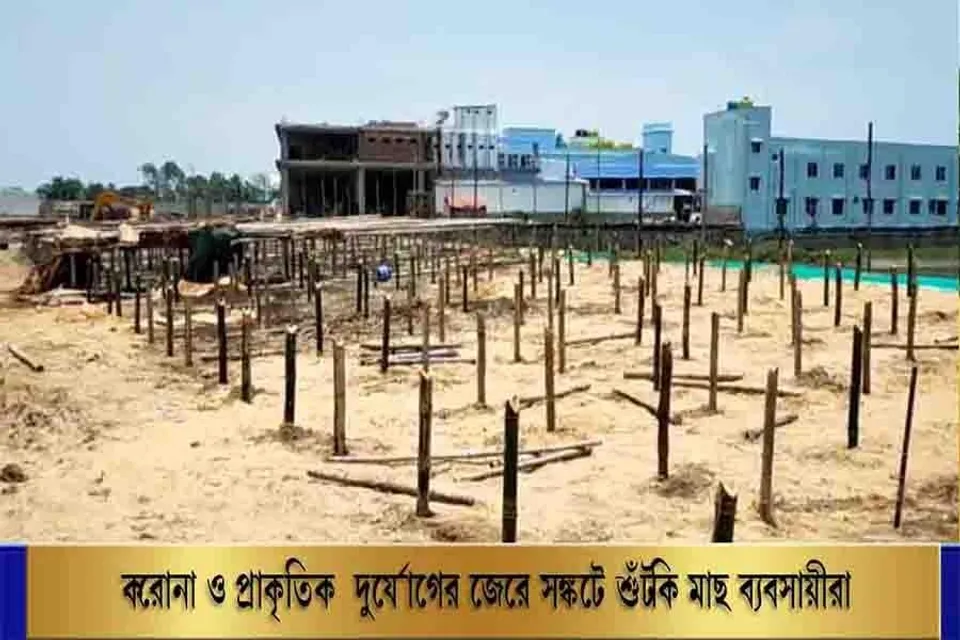 করোনা ও প্রাকৃতিক দূর্যোগে আর্থিক সঙ্কটে শুঁটকি মাছের ব্যবসায়ীরা
