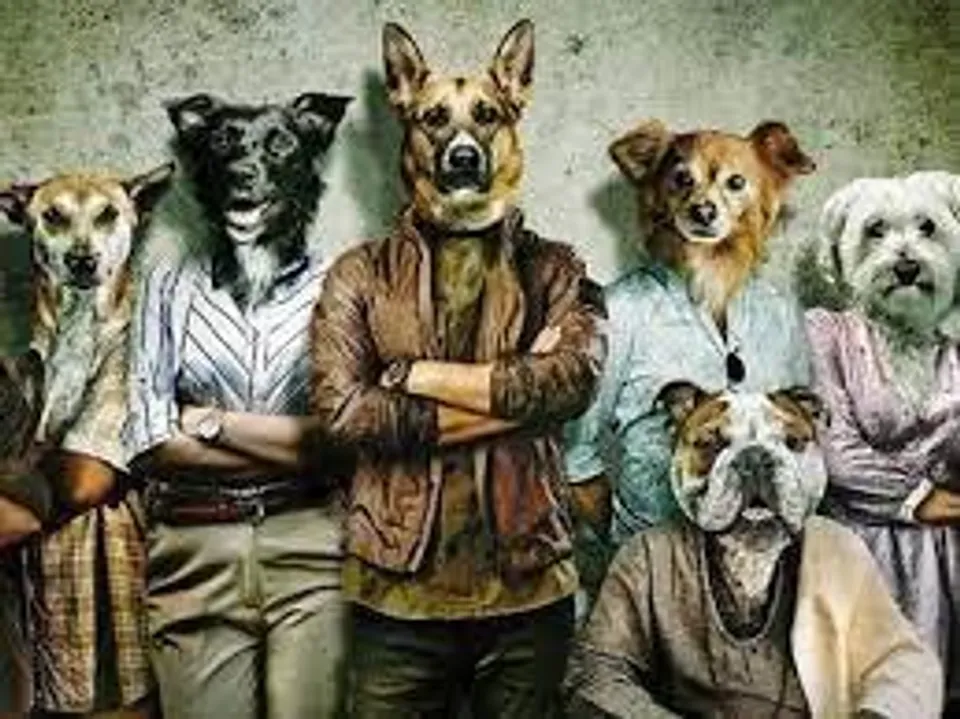 আসছে কুত্তে