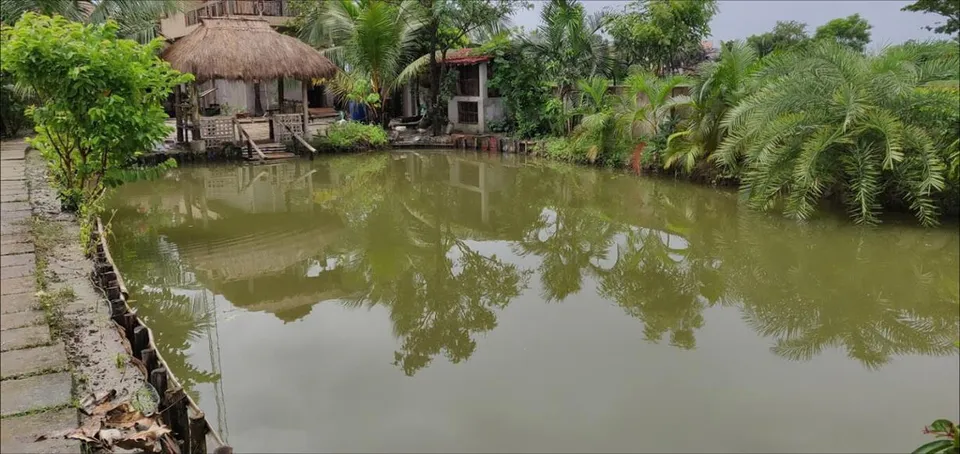 রঙ খেলে স্নান করতে গিয়ে মৃত্যু স্কুল ছাত্রের