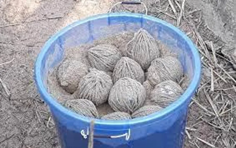 বীরভূমের মাড়গ্রামে উদ্ধার তাজা বোমা