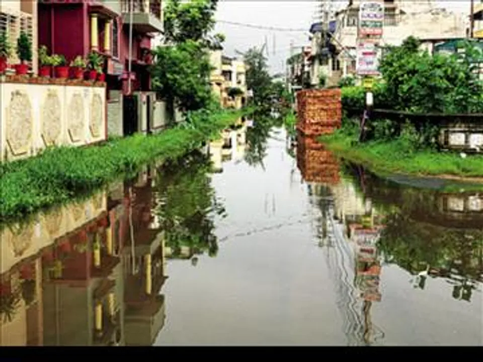 বেহালার বেহাল অবস্থা