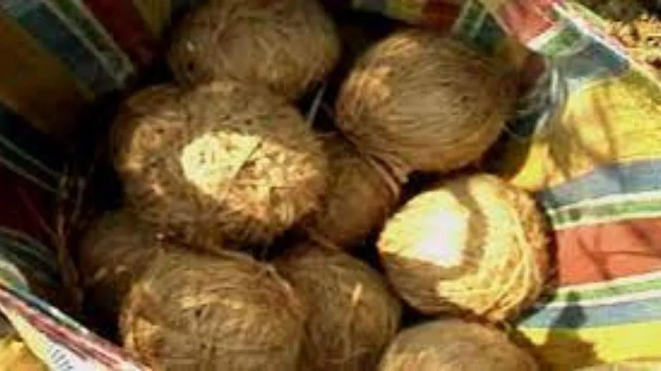 ফের বোমাবাজি ভাটপাড়ায়