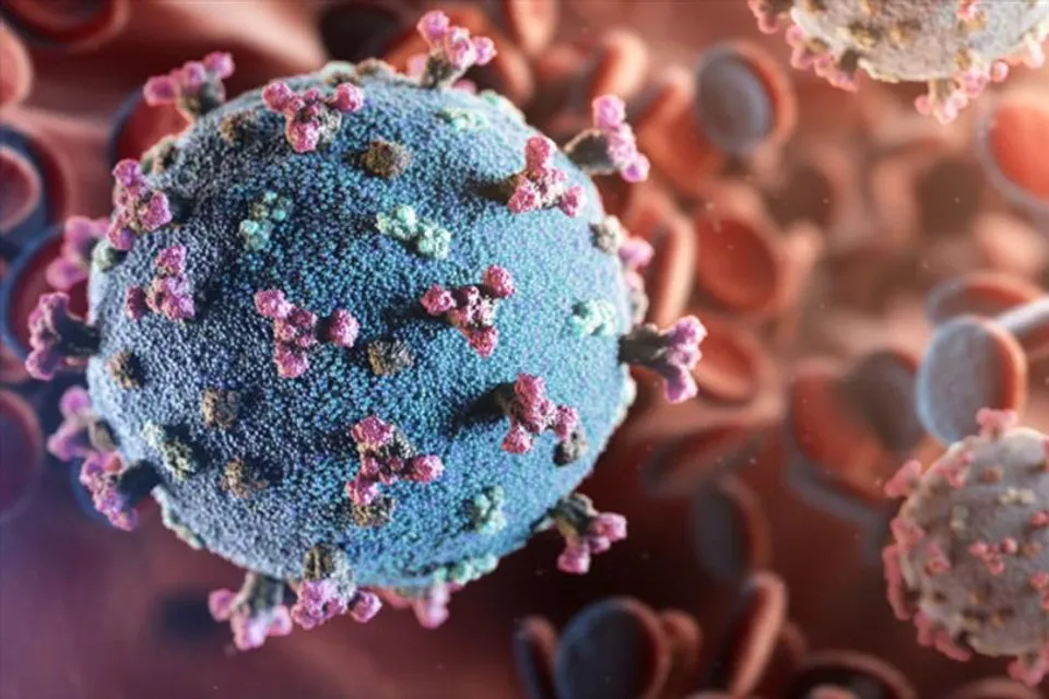 রাজধানীতে করোনার দাপট কমছে!