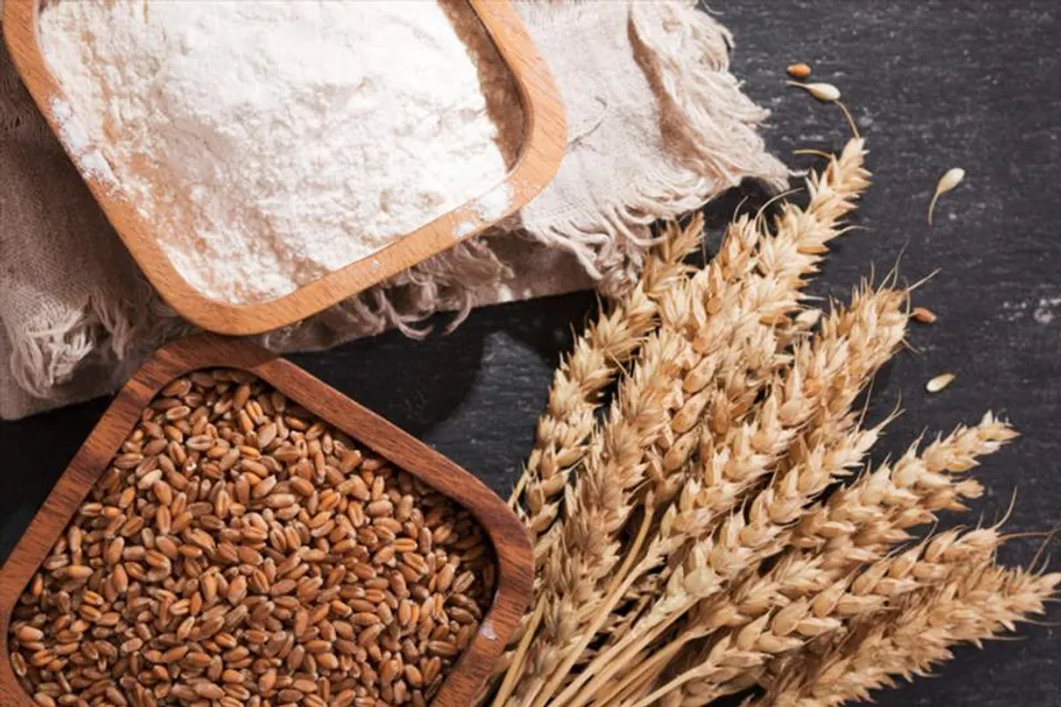 গমের মূল্য বৃদ্ধি নিয়ে কী বলছে কেন্দ্র?