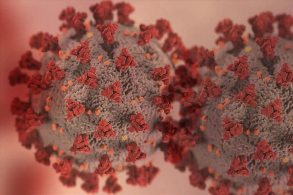 কমল আক্রান্তের সংখ্যা