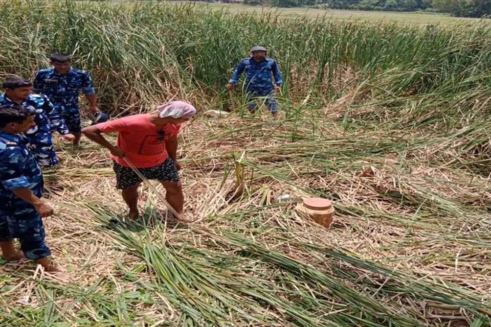ময়নার বাকচা থেকে শতাধিক তাজা বোমা উদ্ধার