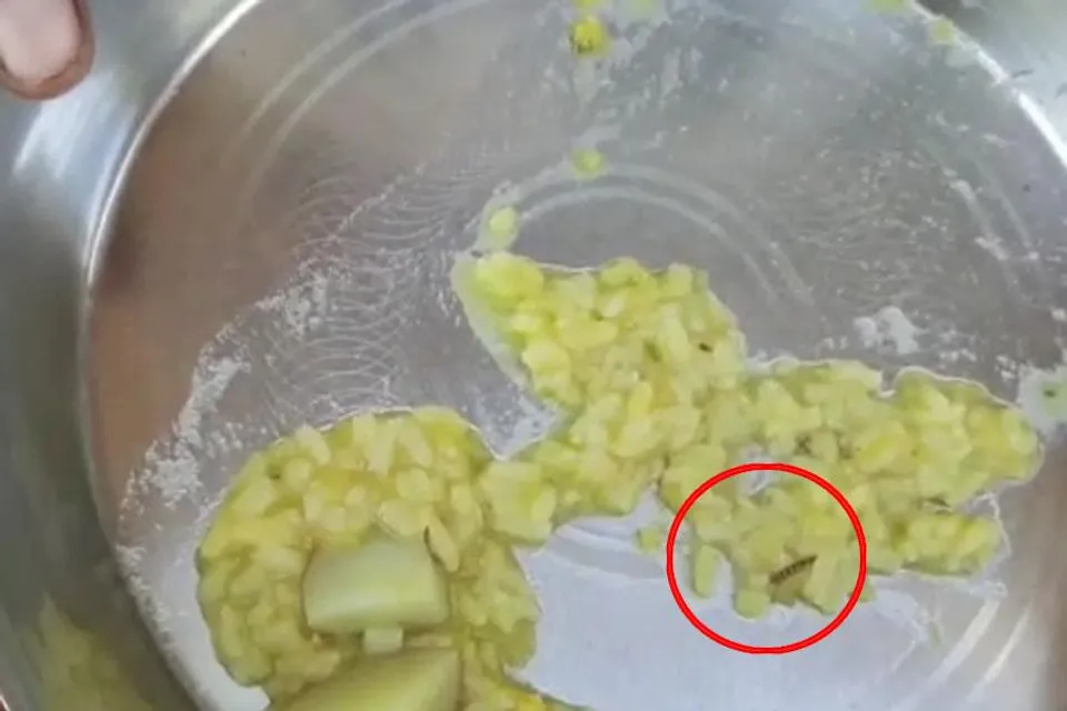 অঙ্গনওয়াড়ি কেন্দ্রের রান্না করা খিচুড়িতে কেন্নো