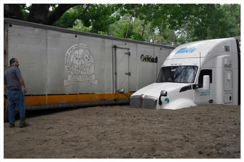 ঘূর্ণিঝড় রোজলিনের দাপটে নিহত দুই