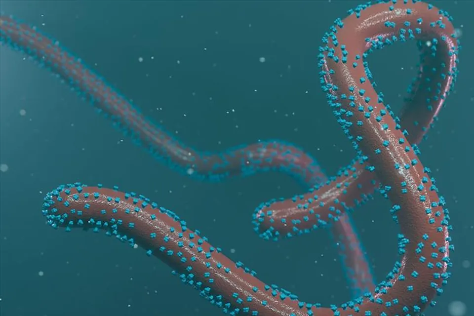 আফ্রিকায় হানা দিল আরও এক মারণ ভাইরাস, জানাল WHO