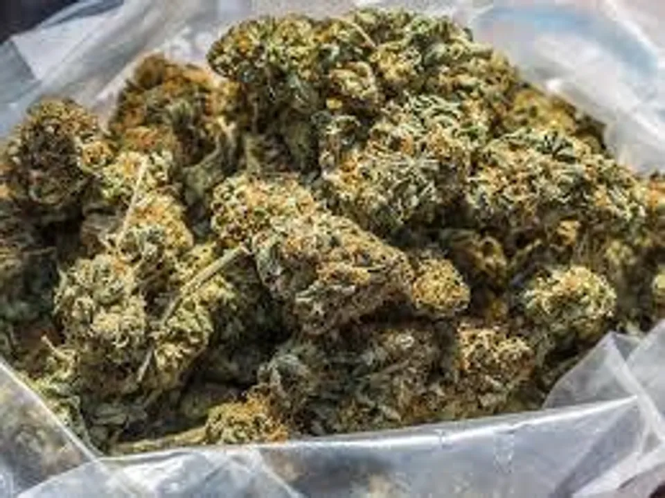 ট্রাকে গোপন খোপে ৩০০ কেজি গাঁজা বাজেয়াপ্ত