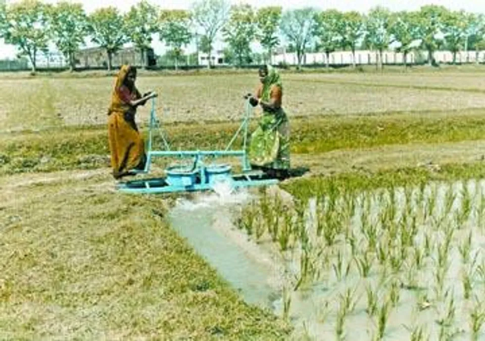ব্যাহত হচ্ছে কৃষিকাজ