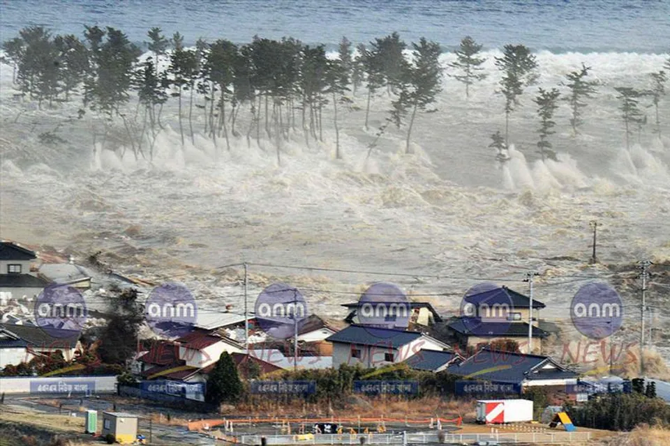 আজ বিশ্ব সুনামি সচেতনতা দিবস