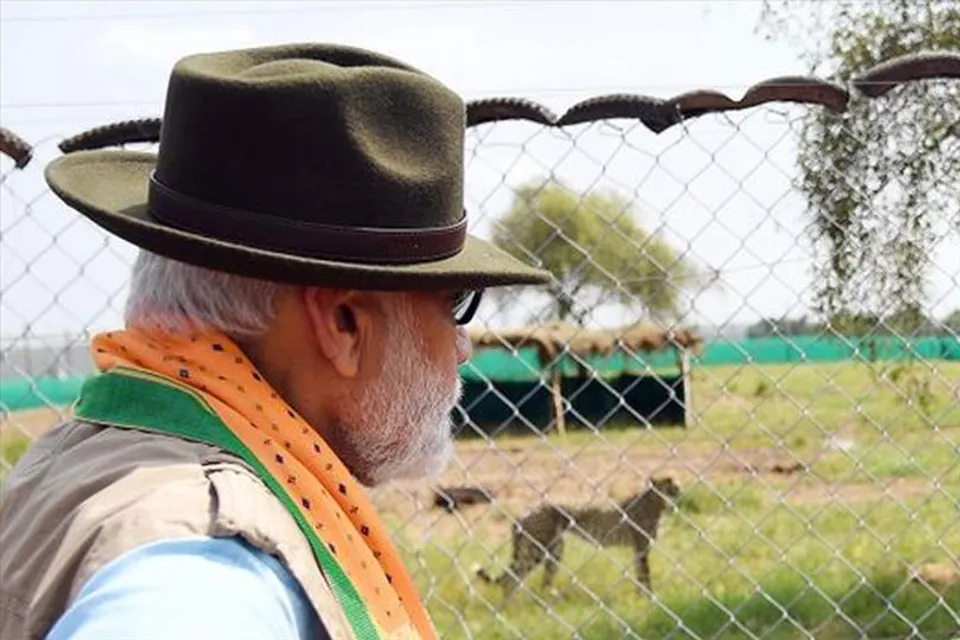 চিতার প্রত্যাবর্তনে নতুন উদ্যম ফিরে এসেছে দেশে : প্রধানমন্ত্রী