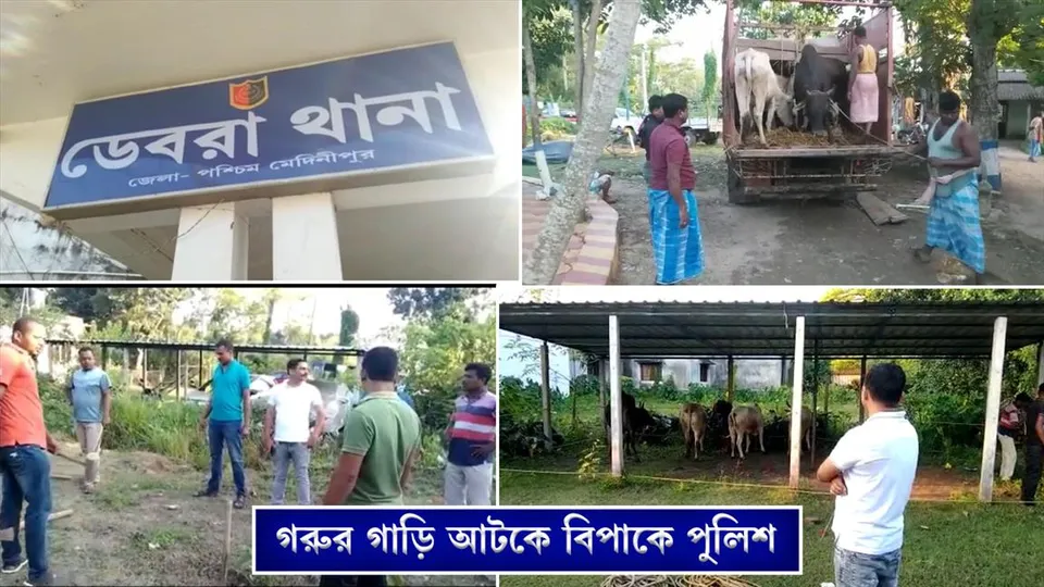গরুর গাড়ি আটকে বিপাকে পুলিশ