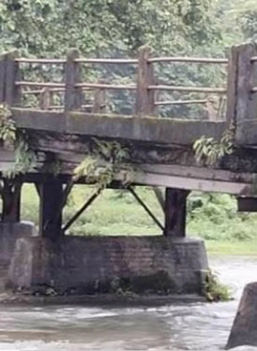 চা বাগানের সেতু ভগ্ন দশায়, হেলদোল নেই প্রশাসনের