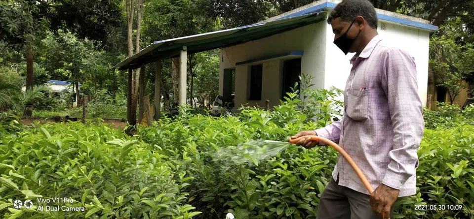 অভিনব অরণ্য সপ্তাহ পালন বন দফতরের