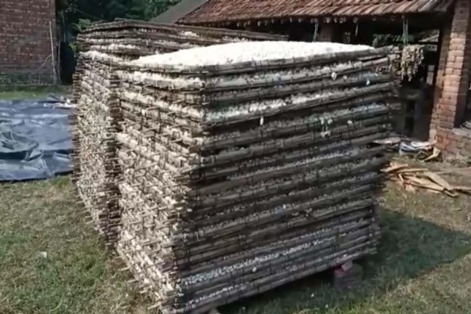 মন্ত্রীর উদ্যোগে রেশম চাষের জন্য দেওয়া হল ৭ কোটি টাকা