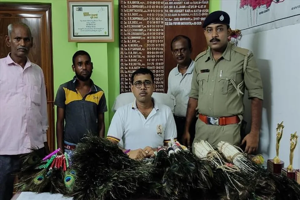 ময়ূরের পালক বিক্রি করতে গিয়ে গ্রেফতার ২