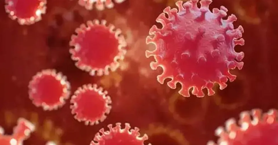 গত ২৪ ঘণ্টায় দেশে করোনা আক্রান্ত ২০ হাজার ৫৫১ জন