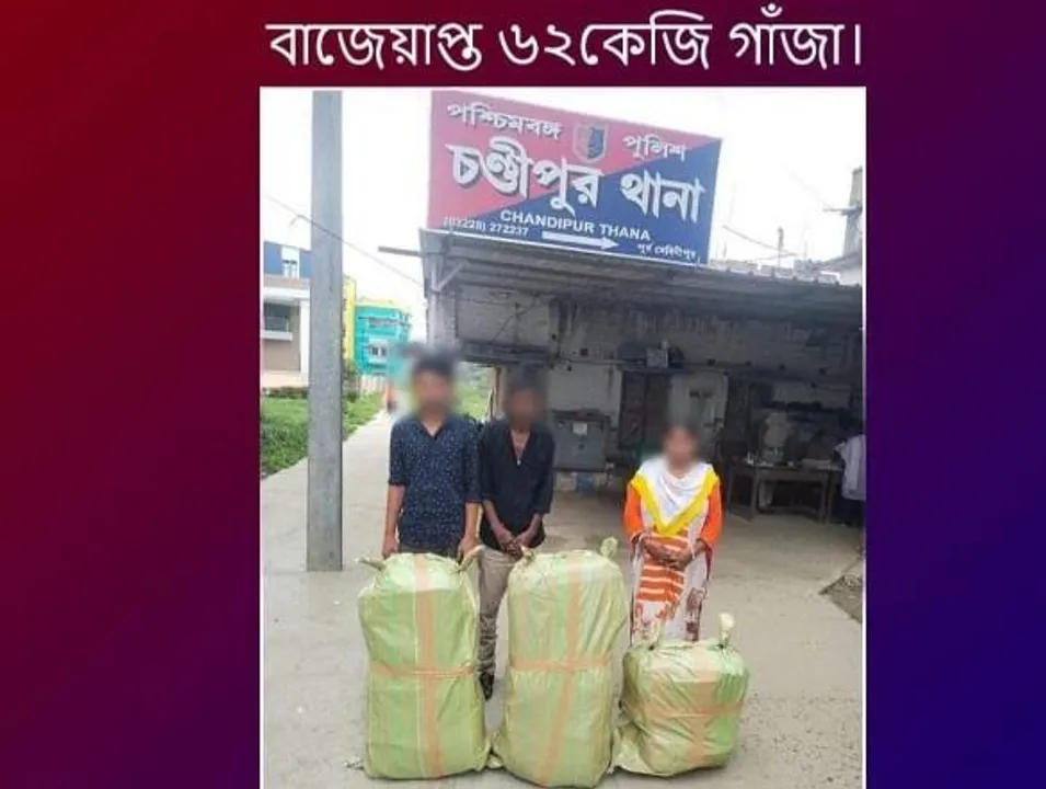 নরঘাটে বাজেয়াপ্ত ৬২ কেজি গাঁজা, ধৃত ৩
