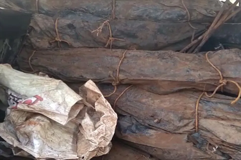 মাটি খুঁড়ে উদ্ধার পুরোনো বন্দুক, কার্তুজ