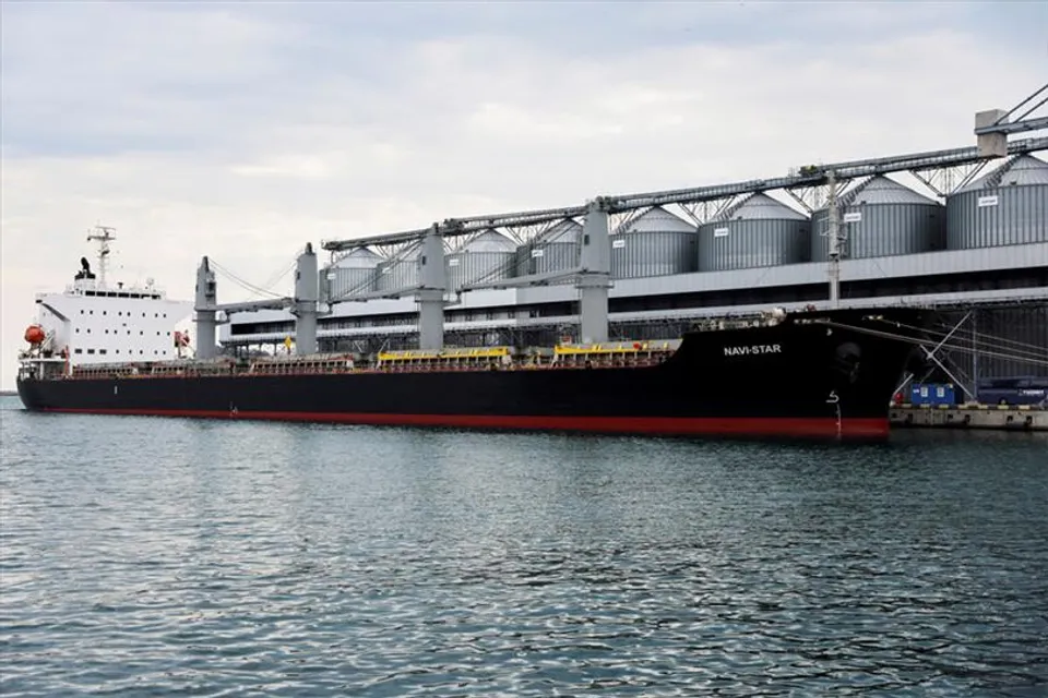 তুরস্কে পৌঁছলো ইউক্রেনের শস্য বোঝাই জাহাজ