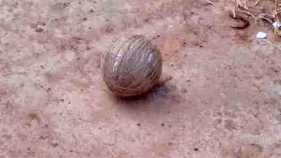 পুরভোটের আগেই অশান্ত ৬৮ নম্বর ওয়ার্ড!