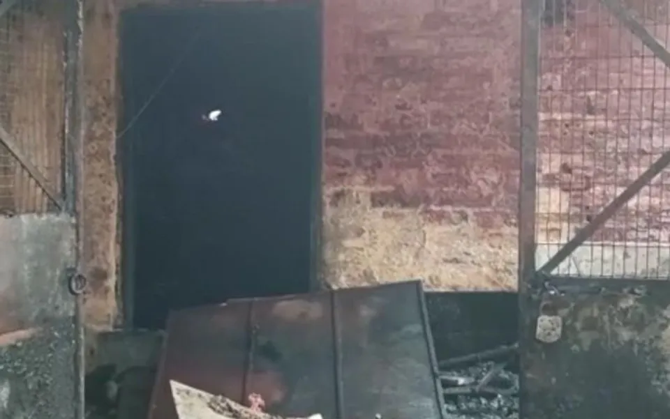 ভোর রাতে ভয়াবহ আগুন শহরে, পুড়ে ছাই বেকারি