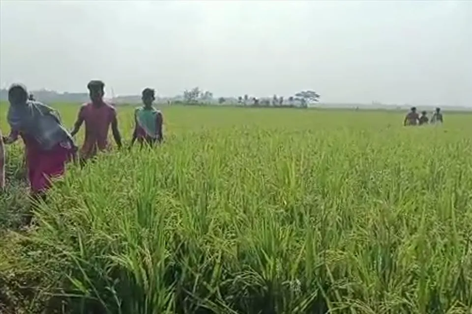 প্রাত:কর্ম সারতে গিয়ে বিদ্যুৎস্পৃষ্ট হয়ে মৃত্যু হল দম্পতির