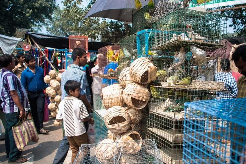 করোনার প্রভাব পড়ল গ্যালিফ স্ট্রিটেও