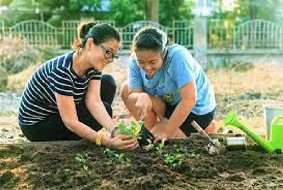সকালে এই কাজ করুন, মন ভালো থাকবে