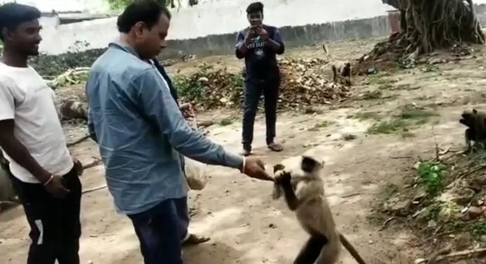 তৃণমূল অঞ্চল সভাপতির পশুপ্রেম