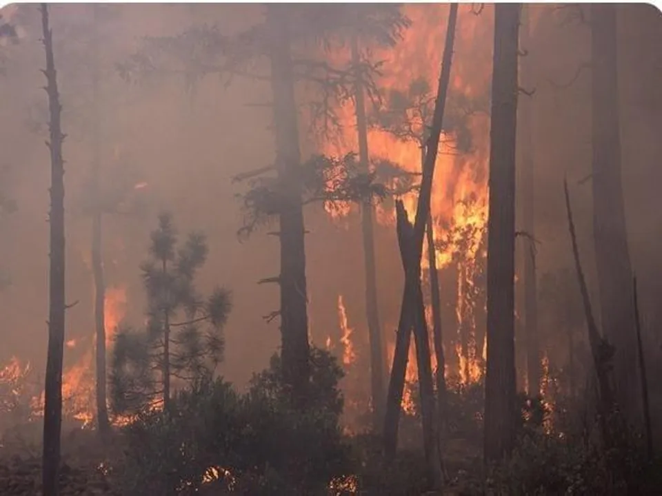 ক্যালিফোর্নিয়ার দাবানলে ১৪,০০০ একরের বেশি জমি ধ্বংস, ৬০০০ মানুষ বাস্তুচ্যুত