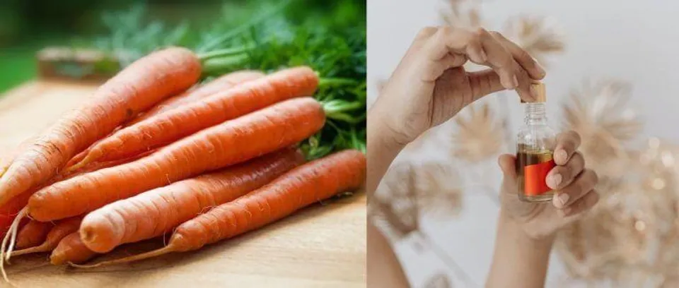 এখনকার ট্রেন্ডিং ক্যারেট সিড অয়েলের উপকারিতা জানেন?