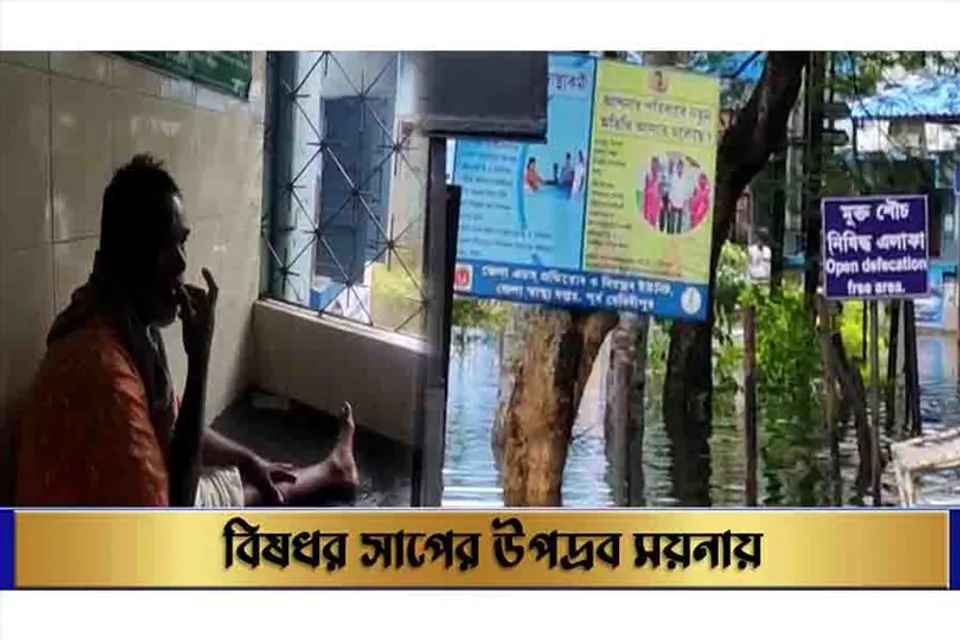 বিষধর সাপের উপদ্রব ময়নায়