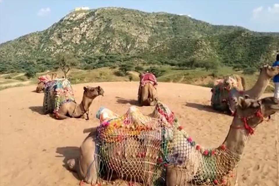 জানেন করণ অর্জুন ছবিতে মন্দির ও ঠাকুরের হাভেলি কোথায়?