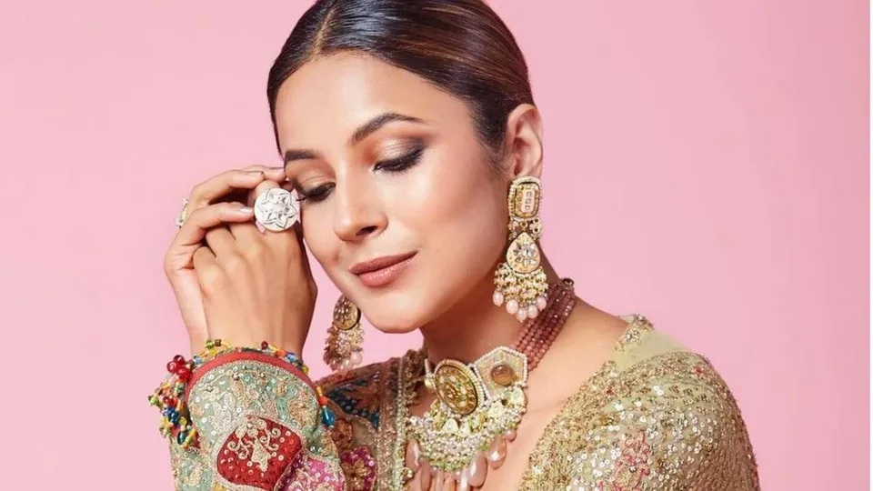 শেহনাজে মজে নেটিজেনরা