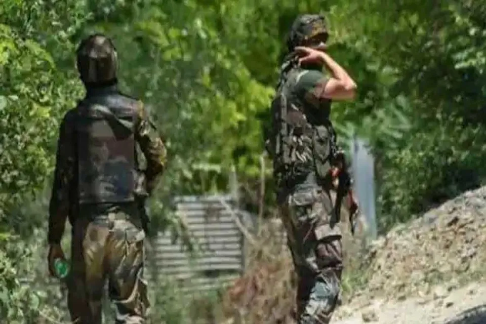 উপত্যকায় এনকাউন্টারে নিকেশ ২ জঙ্গী