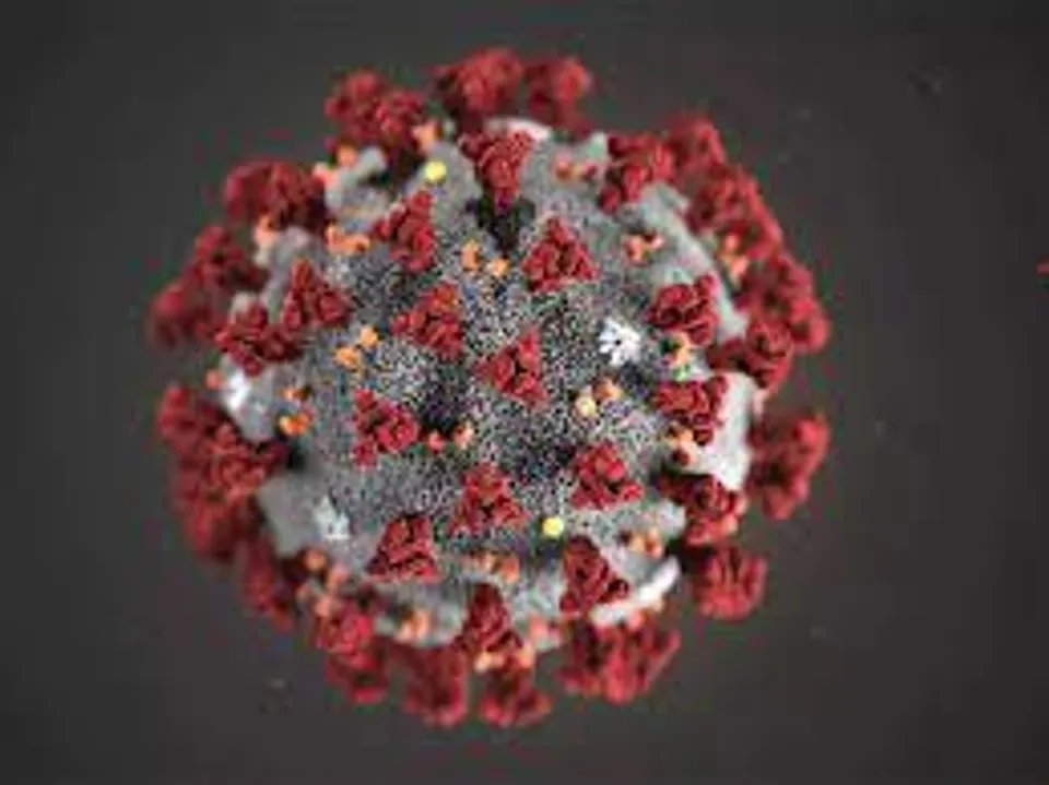 সুপার স্প্রেডারের আকার নিল কর্ণাটক কলেজের নবীনবরণের উৎসব