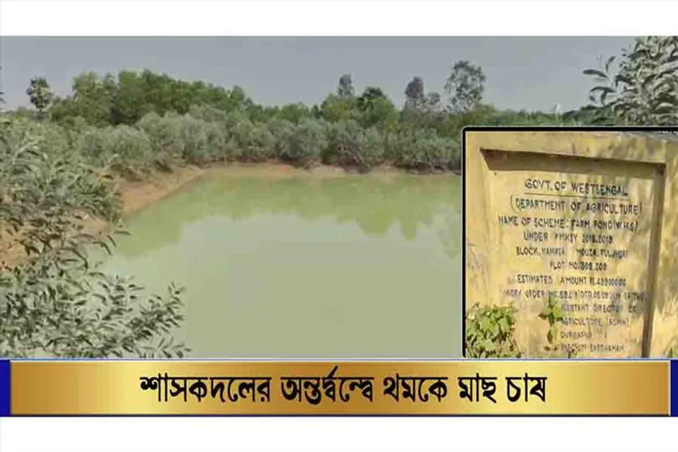 শাসকদলের অন্তর্দ্বন্দ্বে থমকে মাছ চাষ
